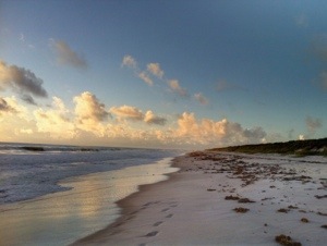 Life is a&nbsp;Beach